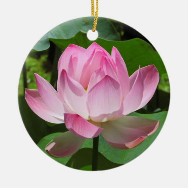 Pink Lotus Bloom Ceramic Ornament (Front)