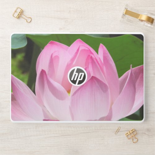 Pink Lotus Bloom HP Laptop Skin