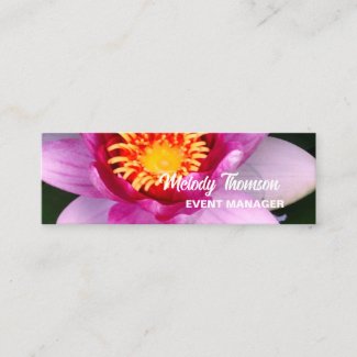 Pink Lotus Bloom ,