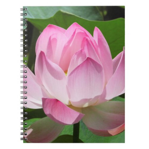 Pink Lotus Bloom Notebook