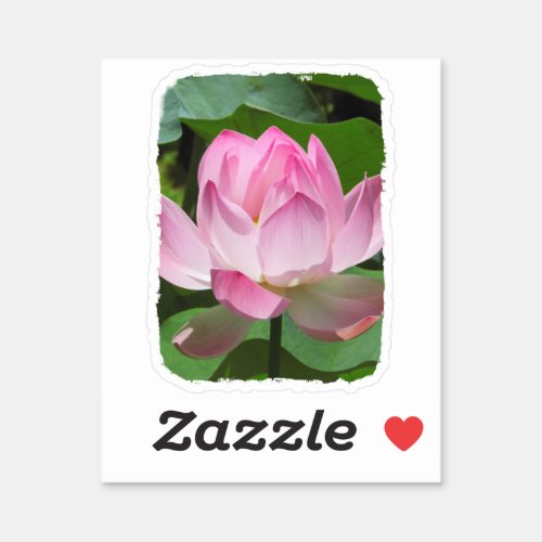Pink Lotus Bloom Sticker