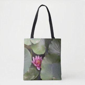 Pink Lotus Blossom among Leaves  Photography