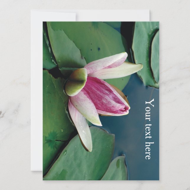 Pink Lotus Blossom Flower Photo  Invitation (Front)