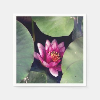 Pink Lotus Blossom Green foliage