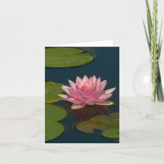 PINK LOTUS BLOSSOM (PHOTOG) CARD | Zazzle.com