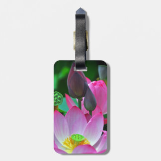 Pink Lotus Blossoms Luggage Tag