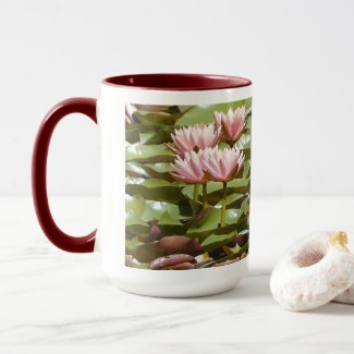 PINK LOTUS BLOSSOMS