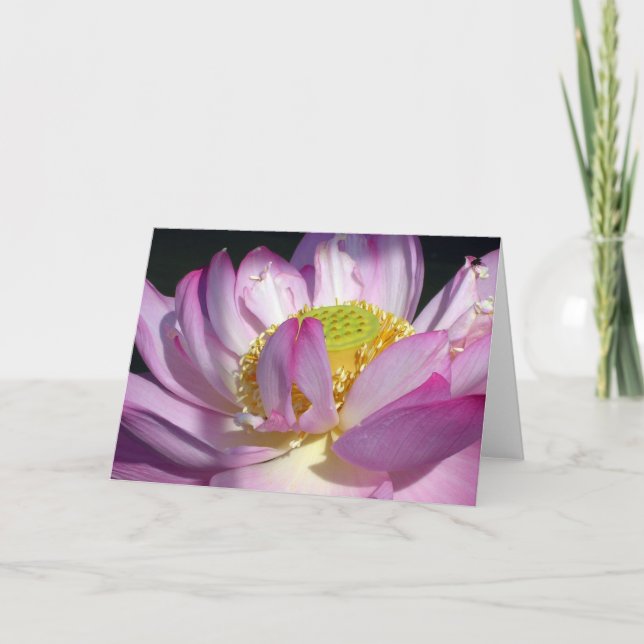 Pink Lotus Card (Front)