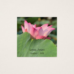 Pink Lotus Flower