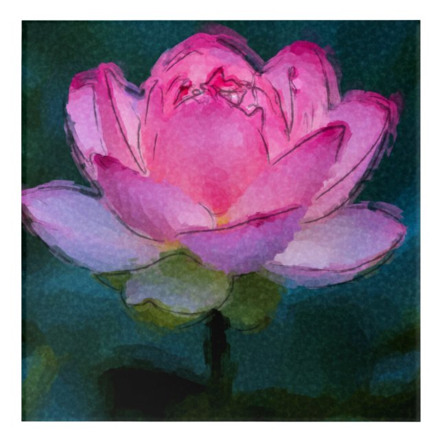 Pink Lotus Flower Acrylic Print (Front)