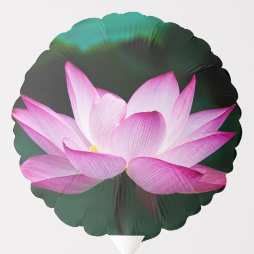 Pink Lotus Flower Balloon