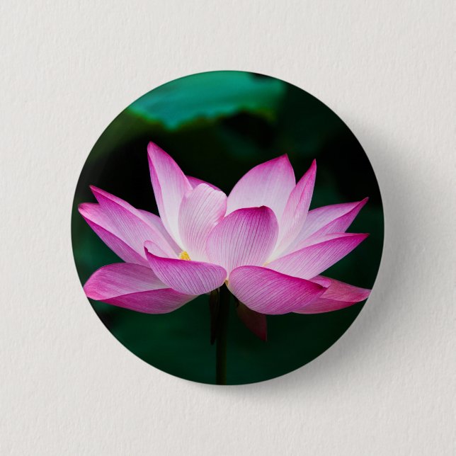 Pink Lotus Flower Button (Front)