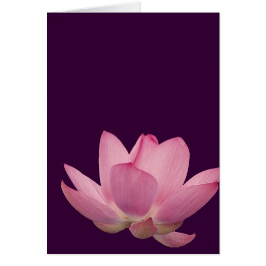 Pink Lotus Flower Cards (Front)