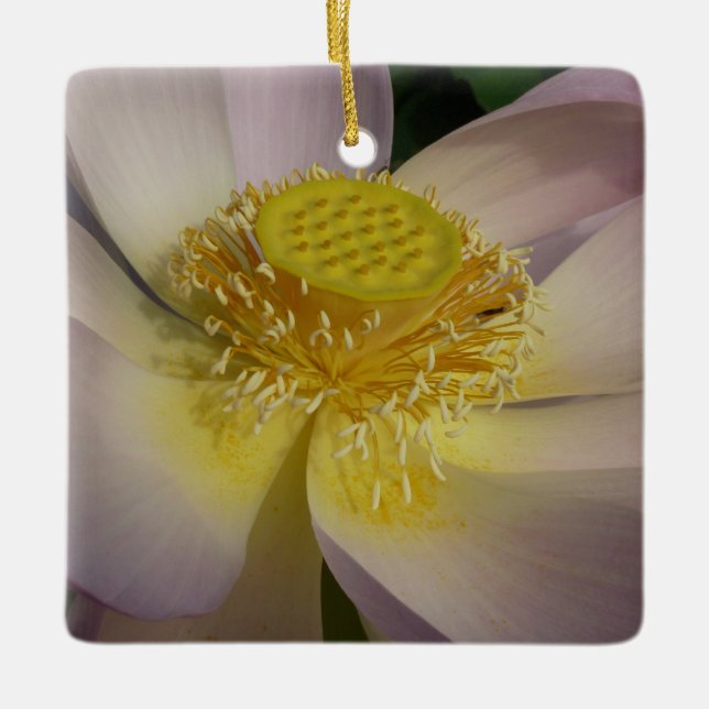 Pink Lotus Flower I Summer Floral Ceramic Ornament (Front)