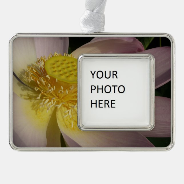 Pink Lotus Flower I Summer Floral Christmas Ornament (Front)