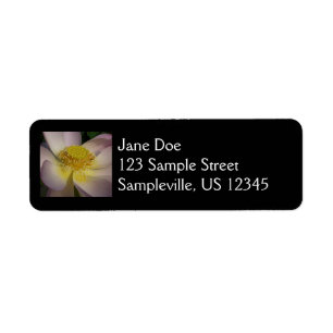 Pink Lotus Flower I Summer Floral Label
