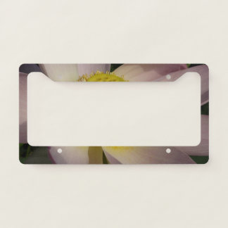 Pink Lotus Flower I Summer Floral License Plate Frame