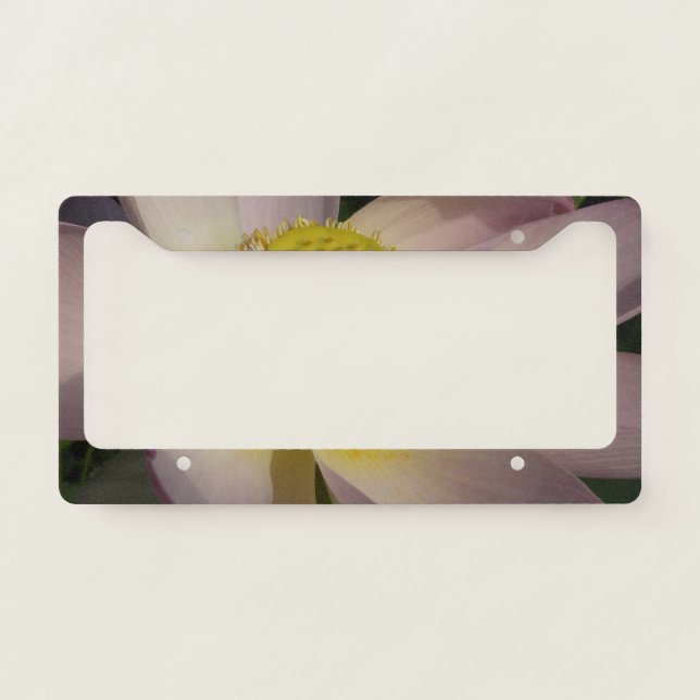 Pink Lotus Flower I Summer Floral License Plate Frame (Front)