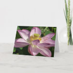 Pink Lotus Flower II Summer Floral Card