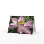 Pink Lotus Flower II Summer Floral Card