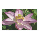 Pink Lotus Flower II Summer Floral Rectangular Sticker