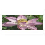 Pink Lotus Flower II Summer Floral Rectangular Sticker
