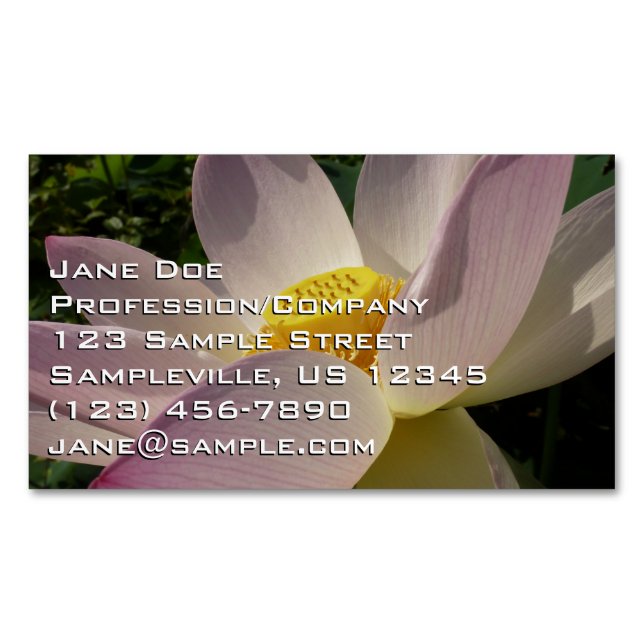 Pink Lotus Flower III Summer Floral Business Card Magnet (Front)