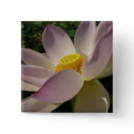 Pink Lotus Flower III Summer Floral Button