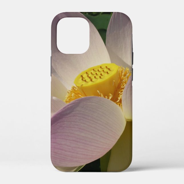 Pink Lotus Flower III Summer Floral Case-Mate iPhone Case (Back)