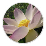 Pink Lotus Flower III Summer Floral Ceramic Knob