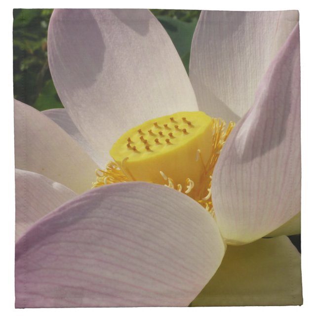 Pink Lotus Flower III Summer Floral Cloth Napkin (Front)