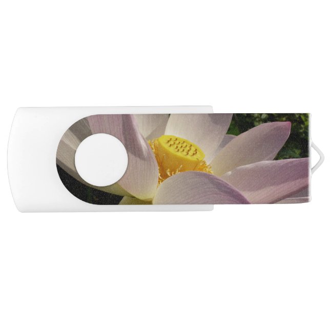 Pink Lotus Flower III Summer Floral Flash Drive (Front)