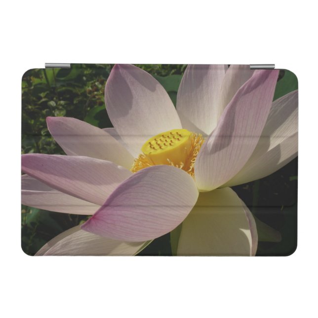 Pink Lotus Flower III Summer Floral iPad Mini Cover (Horizontal)