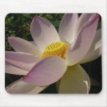Pink Lotus Flower III Summer Floral Mouse Pad
