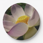 Pink Lotus Flower III Summer Floral Paper Plates