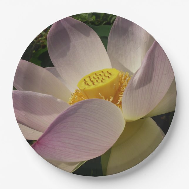 Pink Lotus Flower III Summer Floral Paper Plates (Front)