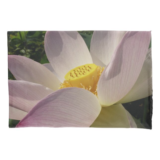 Pink Lotus Flower III Summer Floral Pillow Case (Front)