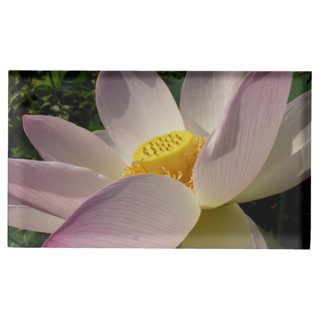 Pink Lotus Flower III Summer Floral Place Card Holder (Front)