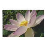 Pink Lotus Flower III Summer Floral Placemat