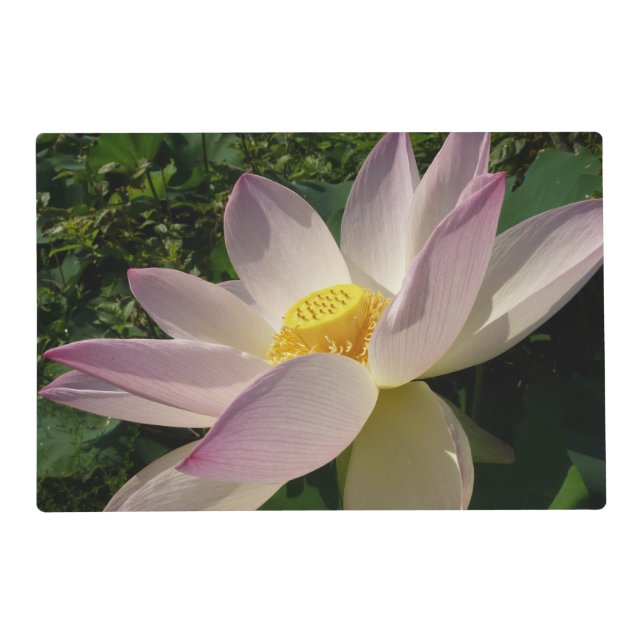 Pink Lotus Flower III Summer Floral Placemat (Front)