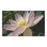 Pink Lotus Flower III Summer Floral Rectangular Sticker