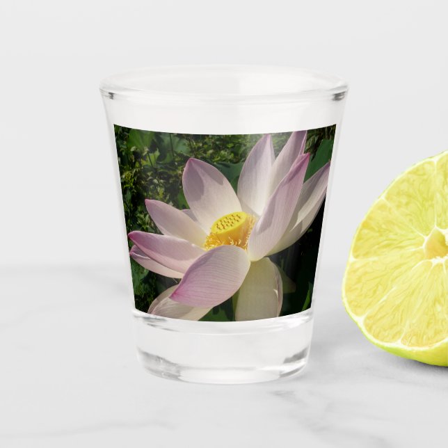 Pink Lotus Flower III Summer Floral Shot Glass (Front)