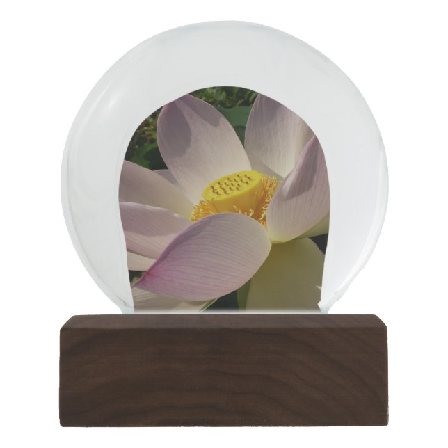 Pink Lotus Flower III Summer Floral Snow Globe (Front)