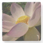 Pink Lotus Flower III Summer Floral Stone Coaster