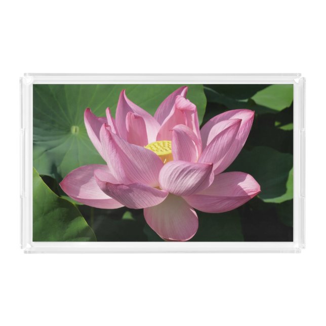 Pink Lotus Flower IV Acrylic Tray (Front)
