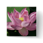 Pink Lotus Flower IV Button