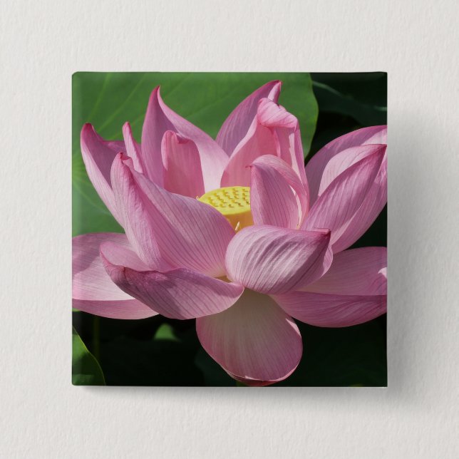 Pink Lotus Flower IV Button (Front)