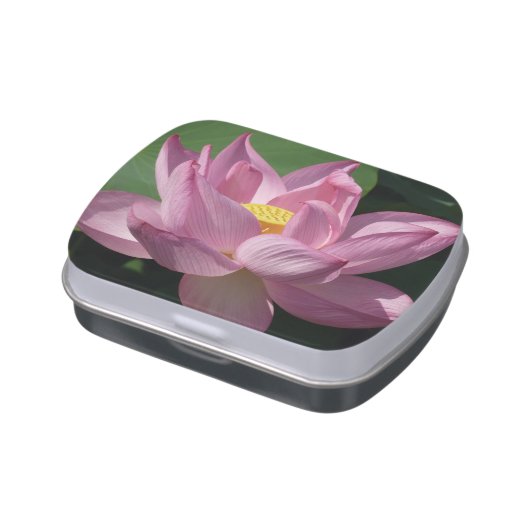 Pink Lotus Flower IV Candy Tin (Side)