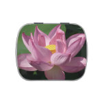 Pink Lotus Flower IV Candy Tin