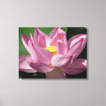 Pink Lotus Flower IV Canvas Print